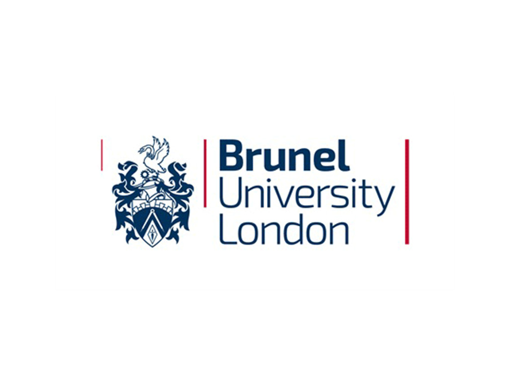 布鲁内尔大学（Brunel University)